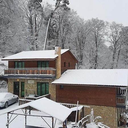 Villa A Barleon Bakuriani Bagian luar foto