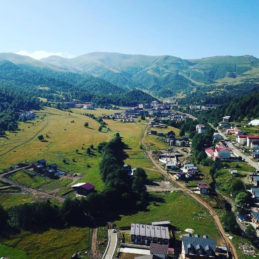 Villa A Barleon Bakuriani Bagian luar foto