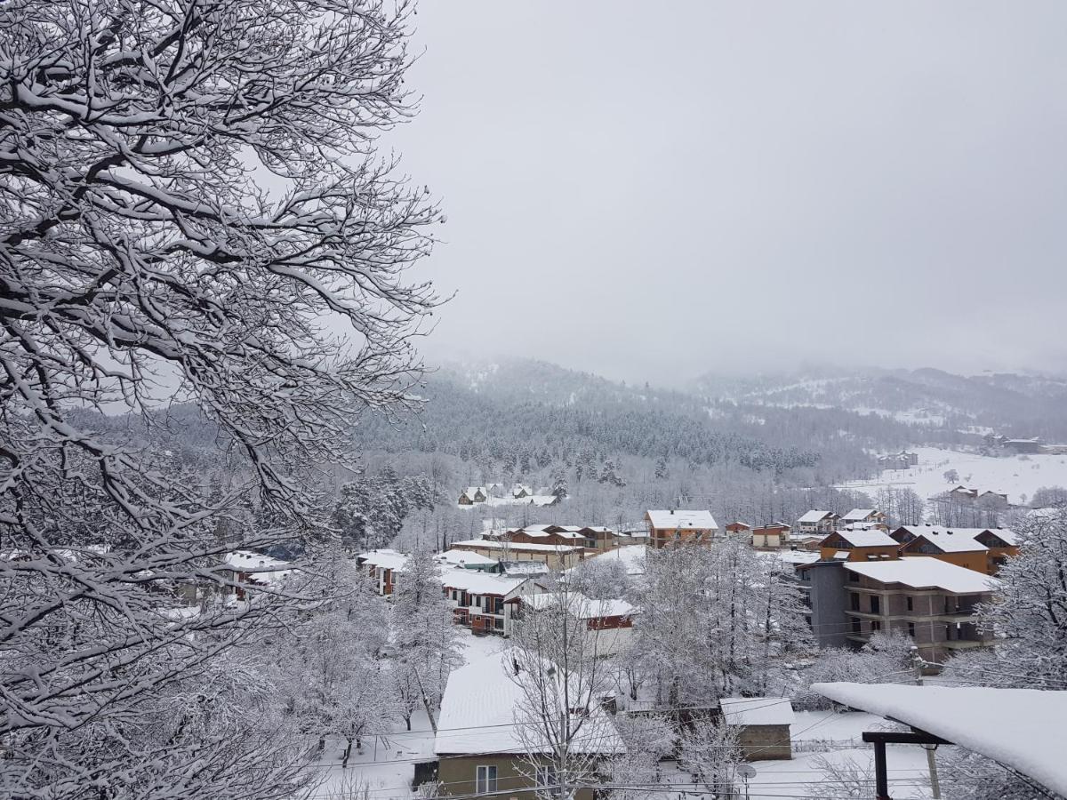 Villa A Barleon Bakuriani Bagian luar foto